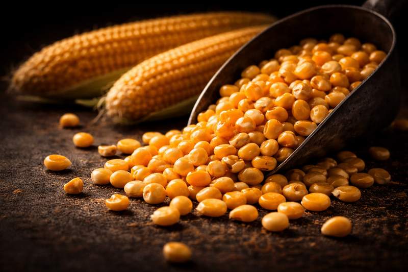 Brazilian Corn